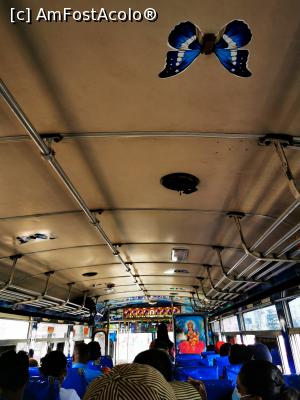 [P39] Cu bus-ul prin Negombo » foto by cata2106
 - 
<span class="allrVoted glyphicon glyphicon-heart hidden" id="av1284595"></span>
<a class="m-l-10 hidden" id="sv1284595" onclick="voting_Foto_DelVot(,1284595,27382)" role="button">șterge vot <span class="glyphicon glyphicon-remove"></span></a>
<a id="v91284595" class=" c-red"  onclick="voting_Foto_SetVot(1284595)" role="button"><span class="glyphicon glyphicon-heart-empty"></span> <b>LIKE</b> = Votează poza</a> <img class="hidden"  id="f1284595W9" src="/imagini/loader.gif" border="0" /><span class="AjErrMes hidden" id="e1284595ErM"></span>