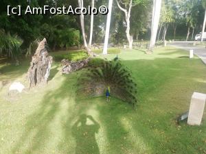 [P22] alt colocatar » foto by denisucu
 - 
<span class="allrVoted glyphicon glyphicon-heart hidden" id="av1285799"></span>
<a class="m-l-10 hidden" id="sv1285799" onclick="voting_Foto_DelVot(,1285799,27387)" role="button">șterge vot <span class="glyphicon glyphicon-remove"></span></a>
<a id="v91285799" class=" c-red"  onclick="voting_Foto_SetVot(1285799)" role="button"><span class="glyphicon glyphicon-heart-empty"></span> <b>LIKE</b> = Votează poza</a> <img class="hidden"  id="f1285799W9" src="/imagini/loader.gif" border="0" /><span class="AjErrMes hidden" id="e1285799ErM"></span>