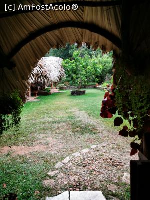 [P34] Vedere spre curte » foto by cata2106
 - 
<span class="allrVoted glyphicon glyphicon-heart hidden" id="av1287800"></span>
<a class="m-l-10 hidden" id="sv1287800" onclick="voting_Foto_DelVot(,1287800,27399)" role="button">șterge vot <span class="glyphicon glyphicon-remove"></span></a>
<a id="v91287800" class=" c-red"  onclick="voting_Foto_SetVot(1287800)" role="button"><span class="glyphicon glyphicon-heart-empty"></span> <b>LIKE</b> = Votează poza</a> <img class="hidden"  id="f1287800W9" src="/imagini/loader.gif" border="0" /><span class="AjErrMes hidden" id="e1287800ErM"></span>