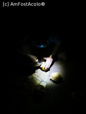 [P56] Tăiem cocos pe &icirc;ntuneric » foto by cata2106
 - 
<span class="allrVoted glyphicon glyphicon-heart hidden" id="av1287822"></span>
<a class="m-l-10 hidden" id="sv1287822" onclick="voting_Foto_DelVot(,1287822,27399)" role="button">șterge vot <span class="glyphicon glyphicon-remove"></span></a>
<a id="v91287822" class=" c-red"  onclick="voting_Foto_SetVot(1287822)" role="button"><span class="glyphicon glyphicon-heart-empty"></span> <b>LIKE</b> = Votează poza</a> <img class="hidden"  id="f1287822W9" src="/imagini/loader.gif" border="0" /><span class="AjErrMes hidden" id="e1287822ErM"></span>