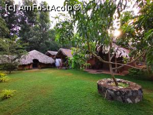 [P77] &Icirc;n curtea complexului » foto by cata2106
 - 
<span class="allrVoted glyphicon glyphicon-heart hidden" id="av1287843"></span>
<a class="m-l-10 hidden" id="sv1287843" onclick="voting_Foto_DelVot(,1287843,27399)" role="button">șterge vot <span class="glyphicon glyphicon-remove"></span></a>
<a id="v91287843" class=" c-red"  onclick="voting_Foto_SetVot(1287843)" role="button"><span class="glyphicon glyphicon-heart-empty"></span> <b>LIKE</b> = Votează poza</a> <img class="hidden"  id="f1287843W9" src="/imagini/loader.gif" border="0" /><span class="AjErrMes hidden" id="e1287843ErM"></span>