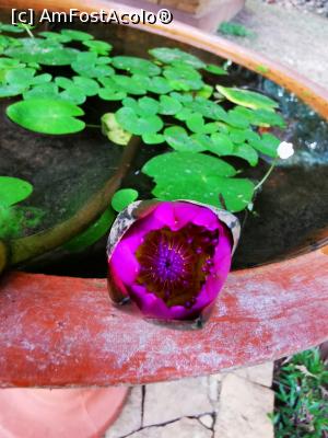 [P83] &Icirc;n curtea complexului » foto by cata2106
 - 
<span class="allrVoted glyphicon glyphicon-heart hidden" id="av1287849"></span>
<a class="m-l-10 hidden" id="sv1287849" onclick="voting_Foto_DelVot(,1287849,27399)" role="button">șterge vot <span class="glyphicon glyphicon-remove"></span></a>
<a id="v91287849" class=" c-red"  onclick="voting_Foto_SetVot(1287849)" role="button"><span class="glyphicon glyphicon-heart-empty"></span> <b>LIKE</b> = Votează poza</a> <img class="hidden"  id="f1287849W9" src="/imagini/loader.gif" border="0" /><span class="AjErrMes hidden" id="e1287849ErM"></span>