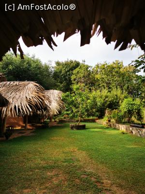 [P92] Spre grădină » foto by cata2106
 - 
<span class="allrVoted glyphicon glyphicon-heart hidden" id="av1287858"></span>
<a class="m-l-10 hidden" id="sv1287858" onclick="voting_Foto_DelVot(,1287858,27399)" role="button">șterge vot <span class="glyphicon glyphicon-remove"></span></a>
<a id="v91287858" class=" c-red"  onclick="voting_Foto_SetVot(1287858)" role="button"><span class="glyphicon glyphicon-heart-empty"></span> <b>LIKE</b> = Votează poza</a> <img class="hidden"  id="f1287858W9" src="/imagini/loader.gif" border="0" /><span class="AjErrMes hidden" id="e1287858ErM"></span>