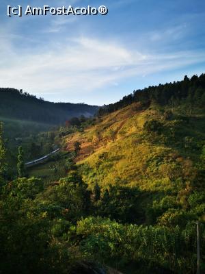 [P22] Trenul care trecea - vedere de pe balcon » foto by cata2106
 - 
<span class="allrVoted glyphicon glyphicon-heart hidden" id="av1289624"></span>
<a class="m-l-10 hidden" id="sv1289624" onclick="voting_Foto_DelVot(,1289624,27411)" role="button">șterge vot <span class="glyphicon glyphicon-remove"></span></a>
<a id="v91289624" class=" c-red"  onclick="voting_Foto_SetVot(1289624)" role="button"><span class="glyphicon glyphicon-heart-empty"></span> <b>LIKE</b> = Votează poza</a> <img class="hidden"  id="f1289624W9" src="/imagini/loader.gif" border="0" /><span class="AjErrMes hidden" id="e1289624ErM"></span>