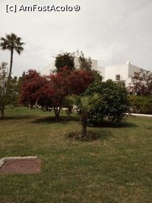 [P41] parc - El Kantaoui » foto by ile57b
 - 
<span class="allrVoted glyphicon glyphicon-heart hidden" id="av1293271"></span>
<a class="m-l-10 hidden" id="sv1293271" onclick="voting_Foto_DelVot(,1293271,27433)" role="button">șterge vot <span class="glyphicon glyphicon-remove"></span></a>
<a id="v91293271" class=" c-red"  onclick="voting_Foto_SetVot(1293271)" role="button"><span class="glyphicon glyphicon-heart-empty"></span> <b>LIKE</b> = Votează poza</a> <img class="hidden"  id="f1293271W9" src="/imagini/loader.gif" border="0" /><span class="AjErrMes hidden" id="e1293271ErM"></span>