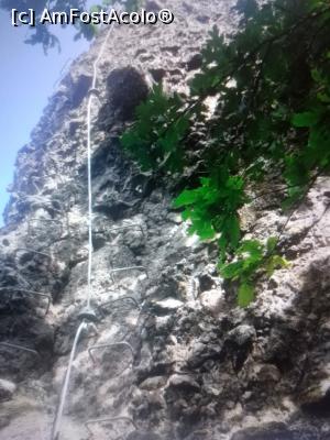 [P14] Via ferrata la Cetatea Dezna » foto by Mioritik
 - 
<span class="allrVoted glyphicon glyphicon-heart hidden" id="av1365879"></span>
<a class="m-l-10 hidden" id="sv1365879" onclick="voting_Foto_DelVot(,1365879,27443)" role="button">șterge vot <span class="glyphicon glyphicon-remove"></span></a>
<a id="v91365879" class=" c-red"  onclick="voting_Foto_SetVot(1365879)" role="button"><span class="glyphicon glyphicon-heart-empty"></span> <b>LIKE</b> = Votează poza</a> <img class="hidden"  id="f1365879W9" src="/imagini/loader.gif" border="0" /><span class="AjErrMes hidden" id="e1365879ErM"></span>