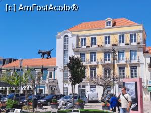 [P25] Setubal » foto by nicole33
 - 
<span class="allrVoted glyphicon glyphicon-heart hidden" id="av1508572"></span>
<a class="m-l-10 hidden" id="sv1508572" onclick="voting_Foto_DelVot(,1508572,27444)" role="button">șterge vot <span class="glyphicon glyphicon-remove"></span></a>
<a id="v91508572" class=" c-red"  onclick="voting_Foto_SetVot(1508572)" role="button"><span class="glyphicon glyphicon-heart-empty"></span> <b>LIKE</b> = Votează poza</a> <img class="hidden"  id="f1508572W9" src="/imagini/loader.gif" border="0" /><span class="AjErrMes hidden" id="e1508572ErM"></span>