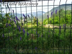 [P17] Culoare la munte. » foto by tata123 🔱
 - 
<span class="allrVoted glyphicon glyphicon-heart hidden" id="av1308557"></span>
<a class="m-l-10 hidden" id="sv1308557" onclick="voting_Foto_DelVot(,1308557,27555)" role="button">șterge vot <span class="glyphicon glyphicon-remove"></span></a>
<a id="v91308557" class=" c-red"  onclick="voting_Foto_SetVot(1308557)" role="button"><span class="glyphicon glyphicon-heart-empty"></span> <b>LIKE</b> = Votează poza</a> <img class="hidden"  id="f1308557W9" src="/imagini/loader.gif" border="0" /><span class="AjErrMes hidden" id="e1308557ErM"></span>
