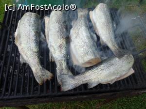 [P18] Un păstrăv delicios. » foto by tata123 🔱
 - 
<span class="allrVoted glyphicon glyphicon-heart hidden" id="av1308558"></span>
<a class="m-l-10 hidden" id="sv1308558" onclick="voting_Foto_DelVot(,1308558,27555)" role="button">șterge vot <span class="glyphicon glyphicon-remove"></span></a>
<a id="v91308558" class=" c-red"  onclick="voting_Foto_SetVot(1308558)" role="button"><span class="glyphicon glyphicon-heart-empty"></span> <b>LIKE</b> = Votează poza</a> <img class="hidden"  id="f1308558W9" src="/imagini/loader.gif" border="0" /><span class="AjErrMes hidden" id="e1308558ErM"></span>