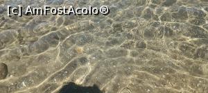 [P01]  -- <small>// FĂRĂ DESCRIERE</small> » foto by cristimicle
 - 
<span class="allrVoted glyphicon glyphicon-heart hidden" id="av1312225"></span>
<a class="m-l-10 hidden" id="sv1312225" onclick="voting_Foto_DelVot(,1312225,27604)" role="button">șterge vot <span class="glyphicon glyphicon-remove"></span></a>
<a id="v91312225" class=" c-red"  onclick="voting_Foto_SetVot(1312225)" role="button"><span class="glyphicon glyphicon-heart-empty"></span> <b>LIKE</b> = Votează poza</a> <img class="hidden"  id="f1312225W9" src="/imagini/loader.gif" border="0" /><span class="AjErrMes hidden" id="e1312225ErM"></span>