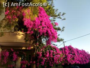 [P29] Hotel Pantheon - casa cu bougainvillea » foto by calator2000
 - 
<span class="allrVoted glyphicon glyphicon-heart hidden" id="av1327807"></span>
<a class="m-l-10 hidden" id="sv1327807" onclick="voting_Foto_DelVot(,1327807,27727)" role="button">șterge vot <span class="glyphicon glyphicon-remove"></span></a>
<a id="v91327807" class=" c-red"  onclick="voting_Foto_SetVot(1327807)" role="button"><span class="glyphicon glyphicon-heart-empty"></span> <b>LIKE</b> = Votează poza</a> <img class="hidden"  id="f1327807W9" src="/imagini/loader.gif" border="0" /><span class="AjErrMes hidden" id="e1327807ErM"></span>