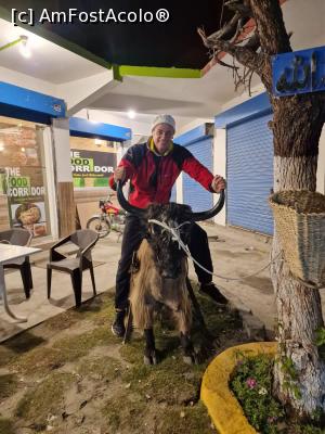 [P17] un profesor trăsnit » foto by robert
 - 
<span class="allrVoted glyphicon glyphicon-heart hidden" id="av1330304"></span>
<a class="m-l-10 hidden" id="sv1330304" onclick="voting_Foto_DelVot(,1330304,27737)" role="button">șterge vot <span class="glyphicon glyphicon-remove"></span></a>
<a id="v91330304" class=" c-red"  onclick="voting_Foto_SetVot(1330304)" role="button"><span class="glyphicon glyphicon-heart-empty"></span> <b>LIKE</b> = Votează poza</a> <img class="hidden"  id="f1330304W9" src="/imagini/loader.gif" border="0" /><span class="AjErrMes hidden" id="e1330304ErM"></span>