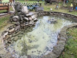 [P40] Pensiunea Melania Chiojdu - iazul » foto by nicole33
 - 
<span class="allrVoted glyphicon glyphicon-heart hidden" id="av1511505"></span>
<a class="m-l-10 hidden" id="sv1511505" onclick="voting_Foto_DelVot(,1511505,27780)" role="button">șterge vot <span class="glyphicon glyphicon-remove"></span></a>
<a id="v91511505" class=" c-red"  onclick="voting_Foto_SetVot(1511505)" role="button"><span class="glyphicon glyphicon-heart-empty"></span> <b>LIKE</b> = Votează poza</a> <img class="hidden"  id="f1511505W9" src="/imagini/loader.gif" border="0" /><span class="AjErrMes hidden" id="e1511505ErM"></span>