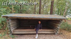 [P26] loc de adăpost în  pădure » foto by robert
 - 
<span class="allrVoted glyphicon glyphicon-heart hidden" id="av1341308"></span>
<a class="m-l-10 hidden" id="sv1341308" onclick="voting_Foto_DelVot(,1341308,27818)" role="button">șterge vot <span class="glyphicon glyphicon-remove"></span></a>
<a id="v91341308" class=" c-red"  onclick="voting_Foto_SetVot(1341308)" role="button"><span class="glyphicon glyphicon-heart-empty"></span> <b>LIKE</b> = Votează poza</a> <img class="hidden"  id="f1341308W9" src="/imagini/loader.gif" border="0" /><span class="AjErrMes hidden" id="e1341308ErM"></span>