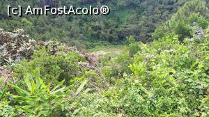 [P09] Crater de vulcan » foto by Elena-
 - 
<span class="allrVoted glyphicon glyphicon-heart hidden" id="av1353119"></span>
<a class="m-l-10 hidden" id="sv1353119" onclick="voting_Foto_DelVot(,1353119,27931)" role="button">șterge vot <span class="glyphicon glyphicon-remove"></span></a>
<a id="v91353119" class=" c-red"  onclick="voting_Foto_SetVot(1353119)" role="button"><span class="glyphicon glyphicon-heart-empty"></span> <b>LIKE</b> = Votează poza</a> <img class="hidden"  id="f1353119W9" src="/imagini/loader.gif" border="0" /><span class="AjErrMes hidden" id="e1353119ErM"></span>