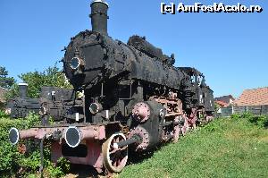 [P12] Doua doamne ce au poposit pe covorul verde ce le scoate frumusetea in evidenta » foto by cristianam
 - 
<span class="allrVoted glyphicon glyphicon-heart hidden" id="av529348"></span>
<a class="m-l-10 hidden" id="sv529348" onclick="voting_Foto_DelVot(,529348,27984)" role="button">șterge vot <span class="glyphicon glyphicon-remove"></span></a>
<a id="v9529348" class=" c-red"  onclick="voting_Foto_SetVot(529348)" role="button"><span class="glyphicon glyphicon-heart-empty"></span> <b>LIKE</b> = Votează poza</a> <img class="hidden"  id="f529348W9" src="/imagini/loader.gif" border="0" /><span class="AjErrMes hidden" id="e529348ErM"></span>