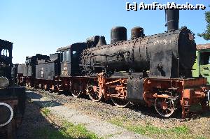 [P14] O doamna vitezomana... 90km/h » foto by cristianam
 - 
<span class="allrVoted glyphicon glyphicon-heart hidden" id="av529350"></span>
<a class="m-l-10 hidden" id="sv529350" onclick="voting_Foto_DelVot(,529350,27984)" role="button">șterge vot <span class="glyphicon glyphicon-remove"></span></a>
<a id="v9529350" class=" c-red"  onclick="voting_Foto_SetVot(529350)" role="button"><span class="glyphicon glyphicon-heart-empty"></span> <b>LIKE</b> = Votează poza</a> <img class="hidden"  id="f529350W9" src="/imagini/loader.gif" border="0" /><span class="AjErrMes hidden" id="e529350ErM"></span>