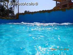 [P37] Hawana Salalah, Oman - la aquapark » foto by nicole33
 - 
<span class="allrVoted glyphicon glyphicon-heart hidden" id="av1494885"></span>
<a class="m-l-10 hidden" id="sv1494885" onclick="voting_Foto_DelVot(,1494885,27999)" role="button">șterge vot <span class="glyphicon glyphicon-remove"></span></a>
<a id="v91494885" class=" c-red"  onclick="voting_Foto_SetVot(1494885)" role="button"><span class="glyphicon glyphicon-heart-empty"></span> <b>LIKE</b> = Votează poza</a> <img class="hidden"  id="f1494885W9" src="/imagini/loader.gif" border="0" /><span class="AjErrMes hidden" id="e1494885ErM"></span>