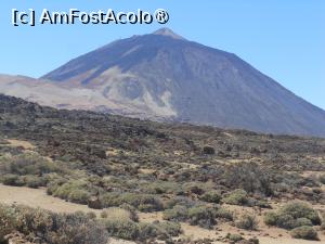 [P36] Tenerife - Parque Nacional del Teide. » foto by iulianic
 - 
<span class="allrVoted glyphicon glyphicon-heart hidden" id="av1429624"></span>
<a class="m-l-10 hidden" id="sv1429624" onclick="voting_Foto_DelVot(,1429624,28122)" role="button">șterge vot <span class="glyphicon glyphicon-remove"></span></a>
<a id="v91429624" class=" c-red"  onclick="voting_Foto_SetVot(1429624)" role="button"><span class="glyphicon glyphicon-heart-empty"></span> <b>LIKE</b> = Votează poza</a> <img class="hidden"  id="f1429624W9" src="/imagini/loader.gif" border="0" /><span class="AjErrMes hidden" id="e1429624ErM"></span>