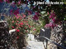 [P11] Drumul ce coboara prin sat, marginit de pereti de piatra si flori » foto by pink_gabi*
 - 
<span class="allrVoted glyphicon glyphicon-heart hidden" id="av82892"></span>
<a class="m-l-10 hidden" id="sv82892" onclick="voting_Foto_DelVot(,82892,28123)" role="button">șterge vot <span class="glyphicon glyphicon-remove"></span></a>
<a id="v982892" class=" c-red"  onclick="voting_Foto_SetVot(82892)" role="button"><span class="glyphicon glyphicon-heart-empty"></span> <b>LIKE</b> = Votează poza</a> <img class="hidden"  id="f82892W9" src="/imagini/loader.gif" border="0" /><span class="AjErrMes hidden" id="e82892ErM"></span>