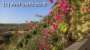 [P09] Balconul apartamentului nostru. » foto by alinafulg
 - 
<span class="allrVoted glyphicon glyphicon-heart hidden" id="av1390830"></span>
<a class="m-l-10 hidden" id="sv1390830" onclick="voting_Foto_DelVot(,1390830,28264)" role="button">șterge vot <span class="glyphicon glyphicon-remove"></span></a>
<a id="v91390830" class=" c-red"  onclick="voting_Foto_SetVot(1390830)" role="button"><span class="glyphicon glyphicon-heart-empty"></span> <b>LIKE</b> = Votează poza</a> <img class="hidden"  id="f1390830W9" src="/imagini/loader.gif" border="0" /><span class="AjErrMes hidden" id="e1390830ErM"></span>