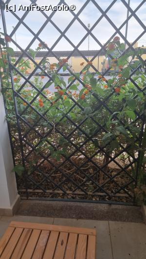 [P10] vedere de la balcon » foto by robert
 - 
<span class="allrVoted glyphicon glyphicon-heart hidden" id="av1391296"></span>
<a class="m-l-10 hidden" id="sv1391296" onclick="voting_Foto_DelVot(,1391296,28274)" role="button">șterge vot <span class="glyphicon glyphicon-remove"></span></a>
<a id="v91391296" class=" c-red"  onclick="voting_Foto_SetVot(1391296)" role="button"><span class="glyphicon glyphicon-heart-empty"></span> <b>LIKE</b> = Votează poza</a> <img class="hidden"  id="f1391296W9" src="/imagini/loader.gif" border="0" /><span class="AjErrMes hidden" id="e1391296ErM"></span>