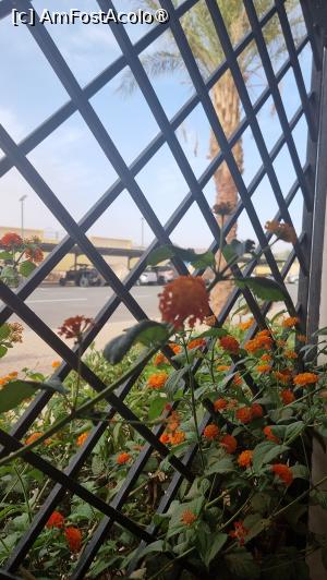 [P32] vedere de la balcon » foto by robert
 - 
<span class="allrVoted glyphicon glyphicon-heart hidden" id="av1391318"></span>
<a class="m-l-10 hidden" id="sv1391318" onclick="voting_Foto_DelVot(,1391318,28274)" role="button">șterge vot <span class="glyphicon glyphicon-remove"></span></a>
<a id="v91391318" class=" c-red"  onclick="voting_Foto_SetVot(1391318)" role="button"><span class="glyphicon glyphicon-heart-empty"></span> <b>LIKE</b> = Votează poza</a> <img class="hidden"  id="f1391318W9" src="/imagini/loader.gif" border="0" /><span class="AjErrMes hidden" id="e1391318ErM"></span>