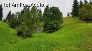 [P18] Dar aici inca e vara » foto by DOINITA
 - 
<span class="allrVoted glyphicon glyphicon-heart hidden" id="av1009945"></span>
<a class="m-l-10 hidden" id="sv1009945" onclick="voting_Foto_DelVot(,1009945,28345)" role="button">șterge vot <span class="glyphicon glyphicon-remove"></span></a>
<a id="v91009945" class=" c-red"  onclick="voting_Foto_SetVot(1009945)" role="button"><span class="glyphicon glyphicon-heart-empty"></span> <b>LIKE</b> = Votează poza</a> <img class="hidden"  id="f1009945W9" src="/imagini/loader.gif" border="0" /><span class="AjErrMes hidden" id="e1009945ErM"></span>