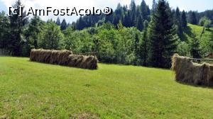 [P23] Peisaj rural cu ”jirezi” de fân pe Valea Caselor, la circa 1Km aval de Cheile Moara Dracului » foto by Lucien
 - 
<span class="allrVoted glyphicon glyphicon-heart hidden" id="av840315"></span>
<a class="m-l-10 hidden" id="sv840315" onclick="voting_Foto_DelVot(,840315,28345)" role="button">șterge vot <span class="glyphicon glyphicon-remove"></span></a>
<a id="v9840315" class=" c-red"  onclick="voting_Foto_SetVot(840315)" role="button"><span class="glyphicon glyphicon-heart-empty"></span> <b>LIKE</b> = Votează poza</a> <img class="hidden"  id="f840315W9" src="/imagini/loader.gif" border="0" /><span class="AjErrMes hidden" id="e840315ErM"></span>