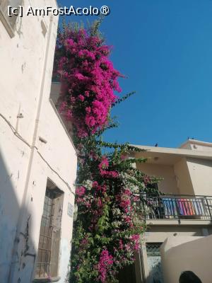 [P10] Intrarea la hotelul nostru  nu e foarte vizibilă, ne ghidam după bougainvilea » foto by Eric s mom
 - 
<span class="allrVoted glyphicon glyphicon-heart hidden" id="av1406947"></span>
<a class="m-l-10 hidden" id="sv1406947" onclick="voting_Foto_DelVot(,1406947,28387)" role="button">șterge vot <span class="glyphicon glyphicon-remove"></span></a>
<a id="v91406947" class=" c-red"  onclick="voting_Foto_SetVot(1406947)" role="button"><span class="glyphicon glyphicon-heart-empty"></span> <b>LIKE</b> = Votează poza</a> <img class="hidden"  id="f1406947W9" src="/imagini/loader.gif" border="0" /><span class="AjErrMes hidden" id="e1406947ErM"></span>