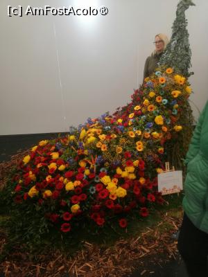 [P01] aranjament florar din cadrul Simfoniei lalelelor Pitesti 2025 » foto by Cristian_h
 - 
<span class="allrVoted glyphicon glyphicon-heart hidden" id="av1518632"></span>
<a class="m-l-10 hidden" id="sv1518632" onclick="voting_Foto_DelVot(,1518632,28416)" role="button">șterge vot <span class="glyphicon glyphicon-remove"></span></a>
<a id="v91518632" class=" c-red"  onclick="voting_Foto_SetVot(1518632)" role="button"><span class="glyphicon glyphicon-heart-empty"></span> <b>LIKE</b> = Votează poza</a> <img class="hidden"  id="f1518632W9" src="/imagini/loader.gif" border="0" /><span class="AjErrMes hidden" id="e1518632ErM"></span>