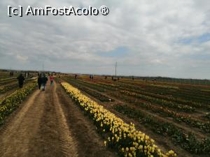 [P12]  -- <small>// FĂRĂ DESCRIERE</small> » foto by Cristian_h
 - 
<span class="allrVoted glyphicon glyphicon-heart hidden" id="av1518643"></span>
<a class="m-l-10 hidden" id="sv1518643" onclick="voting_Foto_DelVot(,1518643,28416)" role="button">șterge vot <span class="glyphicon glyphicon-remove"></span></a>
<a id="v91518643" class=" c-red"  onclick="voting_Foto_SetVot(1518643)" role="button"><span class="glyphicon glyphicon-heart-empty"></span> <b>LIKE</b> = Votează poza</a> <img class="hidden"  id="f1518643W9" src="/imagini/loader.gif" border="0" /><span class="AjErrMes hidden" id="e1518643ErM"></span>