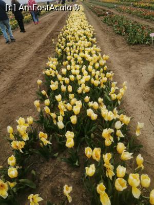 [P13]  -- <small>// FĂRĂ DESCRIERE</small> » foto by Cristian_h
 - 
<span class="allrVoted glyphicon glyphicon-heart hidden" id="av1518644"></span>
<a class="m-l-10 hidden" id="sv1518644" onclick="voting_Foto_DelVot(,1518644,28416)" role="button">șterge vot <span class="glyphicon glyphicon-remove"></span></a>
<a id="v91518644" class=" c-red"  onclick="voting_Foto_SetVot(1518644)" role="button"><span class="glyphicon glyphicon-heart-empty"></span> <b>LIKE</b> = Votează poza</a> <img class="hidden"  id="f1518644W9" src="/imagini/loader.gif" border="0" /><span class="AjErrMes hidden" id="e1518644ErM"></span>