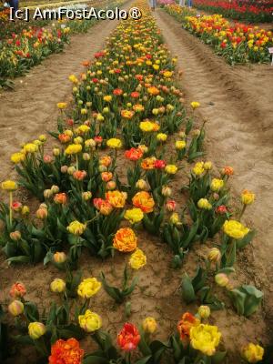 [P14]  -- <small>// FĂRĂ DESCRIERE</small> » foto by Cristian_h
 - 
<span class="allrVoted glyphicon glyphicon-heart hidden" id="av1518645"></span>
<a class="m-l-10 hidden" id="sv1518645" onclick="voting_Foto_DelVot(,1518645,28416)" role="button">șterge vot <span class="glyphicon glyphicon-remove"></span></a>
<a id="v91518645" class=" c-red"  onclick="voting_Foto_SetVot(1518645)" role="button"><span class="glyphicon glyphicon-heart-empty"></span> <b>LIKE</b> = Votează poza</a> <img class="hidden"  id="f1518645W9" src="/imagini/loader.gif" border="0" /><span class="AjErrMes hidden" id="e1518645ErM"></span>