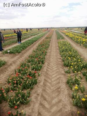 [P08]  -- <small>// FĂRĂ DESCRIERE</small> » foto by Cristian_h
 - 
<span class="allrVoted glyphicon glyphicon-heart hidden" id="av1518639"></span>
<a class="m-l-10 hidden" id="sv1518639" onclick="voting_Foto_DelVot(,1518639,28416)" role="button">șterge vot <span class="glyphicon glyphicon-remove"></span></a>
<a id="v91518639" class=" c-red"  onclick="voting_Foto_SetVot(1518639)" role="button"><span class="glyphicon glyphicon-heart-empty"></span> <b>LIKE</b> = Votează poza</a> <img class="hidden"  id="f1518639W9" src="/imagini/loader.gif" border="0" /><span class="AjErrMes hidden" id="e1518639ErM"></span>