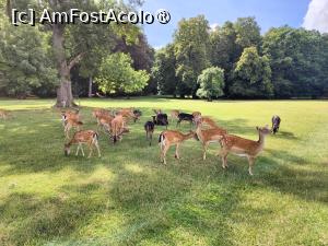 [P76] Castelul Blatna; la plimbare prin parc » foto by crismis
 - 
<span class="allrVoted glyphicon glyphicon-heart hidden" id="av1412180"></span>
<a class="m-l-10 hidden" id="sv1412180" onclick="voting_Foto_DelVot(,1412180,28420)" role="button">șterge vot <span class="glyphicon glyphicon-remove"></span></a>
<a id="v91412180" class=" c-red"  onclick="voting_Foto_SetVot(1412180)" role="button"><span class="glyphicon glyphicon-heart-empty"></span> <b>LIKE</b> = Votează poza</a> <img class="hidden"  id="f1412180W9" src="/imagini/loader.gif" border="0" /><span class="AjErrMes hidden" id="e1412180ErM"></span>