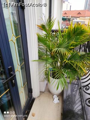 [P15] În limbajul de specialitate , cică ăsta ar fi balcon » foto by Pușcașu Marin
 - 
<span class="allrVoted glyphicon glyphicon-heart hidden" id="av1421857"></span>
<a class="m-l-10 hidden" id="sv1421857" onclick="voting_Foto_DelVot(,1421857,28512)" role="button">șterge vot <span class="glyphicon glyphicon-remove"></span></a>
<a id="v91421857" class=" c-red"  onclick="voting_Foto_SetVot(1421857)" role="button"><span class="glyphicon glyphicon-heart-empty"></span> <b>LIKE</b> = Votează poza</a> <img class="hidden"  id="f1421857W9" src="/imagini/loader.gif" border="0" /><span class="AjErrMes hidden" id="e1421857ErM"></span>