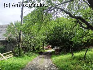 [P08] Ulita tipica din satul Breb » foto by kemi27
 - 
<span class="allrVoted glyphicon glyphicon-heart hidden" id="av1437265"></span>
<a class="m-l-10 hidden" id="sv1437265" onclick="voting_Foto_DelVot(,1437265,28634)" role="button">șterge vot <span class="glyphicon glyphicon-remove"></span></a>
<a id="v91437265" class=" c-red"  onclick="voting_Foto_SetVot(1437265)" role="button"><span class="glyphicon glyphicon-heart-empty"></span> <b>LIKE</b> = Votează poza</a> <img class="hidden"  id="f1437265W9" src="/imagini/loader.gif" border="0" /><span class="AjErrMes hidden" id="e1437265ErM"></span>