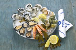 [P38] le Toinou junior 22 € » foto by Yolanda <span class="label label-default labelC_thin small">NEVOTABILĂ</span>