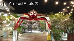 [P04] crabul rosu Toinou » foto by Yolanda
 - 
<span class="allrVoted glyphicon glyphicon-heart hidden" id="av1515279"></span>
<a class="m-l-10 hidden" id="sv1515279" onclick="voting_Foto_DelVot(,1515279,28802)" role="button">șterge vot <span class="glyphicon glyphicon-remove"></span></a>
<a id="v91515279" class=" c-red"  onclick="voting_Foto_SetVot(1515279)" role="button"><span class="glyphicon glyphicon-heart-empty"></span> <b>LIKE</b> = Votează poza</a> <img class="hidden"  id="f1515279W9" src="/imagini/loader.gif" border="0" /><span class="AjErrMes hidden" id="e1515279ErM"></span>