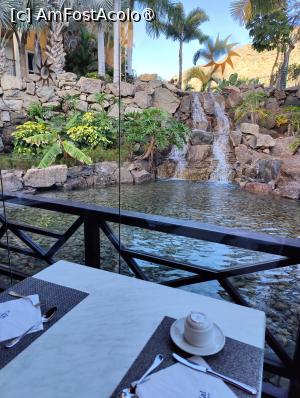 [P91] Hotel Cordial Mogan Playa; o masă cu view la micul dejun » foto by crismis
 - 
<span class="allrVoted glyphicon glyphicon-heart hidden" id="av1489010"></span>
<a class="m-l-10 hidden" id="sv1489010" onclick="voting_Foto_DelVot(,1489010,29042)" role="button">șterge vot <span class="glyphicon glyphicon-remove"></span></a>
<a id="v91489010" class=" c-red"  onclick="voting_Foto_SetVot(1489010)" role="button"><span class="glyphicon glyphicon-heart-empty"></span> <b>LIKE</b> = Votează poza</a> <img class="hidden"  id="f1489010W9" src="/imagini/loader.gif" border="0" /><span class="AjErrMes hidden" id="e1489010ErM"></span>