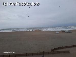 [P20] Hotel Alexandra Mamaia - plaja și marea înspumată » foto by nicole33
 - 
<span class="allrVoted glyphicon glyphicon-heart hidden" id="av1513040"></span>
<a class="m-l-10 hidden" id="sv1513040" onclick="voting_Foto_DelVot(,1513040,29052)" role="button">șterge vot <span class="glyphicon glyphicon-remove"></span></a>
<a id="v91513040" class=" c-red"  onclick="voting_Foto_SetVot(1513040)" role="button"><span class="glyphicon glyphicon-heart-empty"></span> <b>LIKE</b> = Votează poza</a> <img class="hidden"  id="f1513040W9" src="/imagini/loader.gif" border="0" /><span class="AjErrMes hidden" id="e1513040ErM"></span>