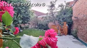 [P12] Grădina Casa Zina » foto by pepsi70ro
 - 
<span class="allrVoted glyphicon glyphicon-heart hidden" id="av1494466"></span>
<a class="m-l-10 hidden" id="sv1494466" onclick="voting_Foto_DelVot(,1494466,29085)" role="button">șterge vot <span class="glyphicon glyphicon-remove"></span></a>
<a id="v91494466" class=" c-red"  onclick="voting_Foto_SetVot(1494466)" role="button"><span class="glyphicon glyphicon-heart-empty"></span> <b>LIKE</b> = Votează poza</a> <img class="hidden"  id="f1494466W9" src="/imagini/loader.gif" border="0" /><span class="AjErrMes hidden" id="e1494466ErM"></span>