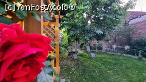 [P14] Grădina Casa Zina » foto by pepsi70ro
 - 
<span class="allrVoted glyphicon glyphicon-heart hidden" id="av1494468"></span>
<a class="m-l-10 hidden" id="sv1494468" onclick="voting_Foto_DelVot(,1494468,29085)" role="button">șterge vot <span class="glyphicon glyphicon-remove"></span></a>
<a id="v91494468" class=" c-red"  onclick="voting_Foto_SetVot(1494468)" role="button"><span class="glyphicon glyphicon-heart-empty"></span> <b>LIKE</b> = Votează poza</a> <img class="hidden"  id="f1494468W9" src="/imagini/loader.gif" border="0" /><span class="AjErrMes hidden" id="e1494468ErM"></span>