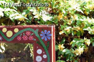 [P22] Grădina Casa Zina » foto by pepsi70ro
 - 
<span class="allrVoted glyphicon glyphicon-heart hidden" id="av1494476"></span>
<a class="m-l-10 hidden" id="sv1494476" onclick="voting_Foto_DelVot(,1494476,29085)" role="button">șterge vot <span class="glyphicon glyphicon-remove"></span></a>
<a id="v91494476" class=" c-red"  onclick="voting_Foto_SetVot(1494476)" role="button"><span class="glyphicon glyphicon-heart-empty"></span> <b>LIKE</b> = Votează poza</a> <img class="hidden"  id="f1494476W9" src="/imagini/loader.gif" border="0" /><span class="AjErrMes hidden" id="e1494476ErM"></span>