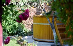 [P23] Ciubărul de la Casa Zina » foto by pepsi70ro
 - 
<span class="allrVoted glyphicon glyphicon-heart hidden" id="av1494477"></span>
<a class="m-l-10 hidden" id="sv1494477" onclick="voting_Foto_DelVot(,1494477,29085)" role="button">șterge vot <span class="glyphicon glyphicon-remove"></span></a>
<a id="v91494477" class=" c-red"  onclick="voting_Foto_SetVot(1494477)" role="button"><span class="glyphicon glyphicon-heart-empty"></span> <b>LIKE</b> = Votează poza</a> <img class="hidden"  id="f1494477W9" src="/imagini/loader.gif" border="0" /><span class="AjErrMes hidden" id="e1494477ErM"></span>