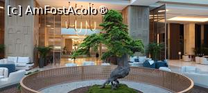 [P43] Lobby hotel » foto by Gina1970
 - 
<span class="allrVoted glyphicon glyphicon-heart hidden" id="av1497413"></span>
<a class="m-l-10 hidden" id="sv1497413" onclick="voting_Foto_DelVot(,1497413,29116)" role="button">șterge vot <span class="glyphicon glyphicon-remove"></span></a>
<a id="v91497413" class=" c-red"  onclick="voting_Foto_SetVot(1497413)" role="button"><span class="glyphicon glyphicon-heart-empty"></span> <b>LIKE</b> = Votează poza</a> <img class="hidden"  id="f1497413W9" src="/imagini/loader.gif" border="0" /><span class="AjErrMes hidden" id="e1497413ErM"></span>