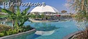 [P06] Bar piscină » foto by Gina1970
 - 
<span class="allrVoted glyphicon glyphicon-heart hidden" id="av1497376"></span>
<a class="m-l-10 hidden" id="sv1497376" onclick="voting_Foto_DelVot(,1497376,29116)" role="button">șterge vot <span class="glyphicon glyphicon-remove"></span></a>
<a id="v91497376" class=" c-red"  onclick="voting_Foto_SetVot(1497376)" role="button"><span class="glyphicon glyphicon-heart-empty"></span> <b>LIKE</b> = Votează poza</a> <img class="hidden"  id="f1497376W9" src="/imagini/loader.gif" border="0" /><span class="AjErrMes hidden" id="e1497376ErM"></span>