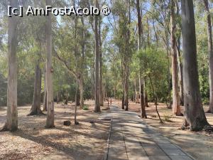 [P44] La pas prin pădurice » foto by crismis
 - 
<span class="allrVoted glyphicon glyphicon-heart hidden" id="av1499739"></span>
<a class="m-l-10 hidden" id="sv1499739" onclick="voting_Foto_DelVot(,1499739,29133)" role="button">șterge vot <span class="glyphicon glyphicon-remove"></span></a>
<a id="v91499739" class=" c-red"  onclick="voting_Foto_SetVot(1499739)" role="button"><span class="glyphicon glyphicon-heart-empty"></span> <b>LIKE</b> = Votează poza</a> <img class="hidden"  id="f1499739W9" src="/imagini/loader.gif" border="0" /><span class="AjErrMes hidden" id="e1499739ErM"></span>