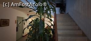 [P43] Imperatriz Aparthotel, pe scări » foto by irinad
 - 
<span class="allrVoted glyphicon glyphicon-heart hidden" id="av1502295"></span>
<a class="m-l-10 hidden" id="sv1502295" onclick="voting_Foto_DelVot(,1502295,29150)" role="button">șterge vot <span class="glyphicon glyphicon-remove"></span></a>
<a id="v91502295" class=" c-red"  onclick="voting_Foto_SetVot(1502295)" role="button"><span class="glyphicon glyphicon-heart-empty"></span> <b>LIKE</b> = Votează poza</a> <img class="hidden"  id="f1502295W9" src="/imagini/loader.gif" border="0" /><span class="AjErrMes hidden" id="e1502295ErM"></span>